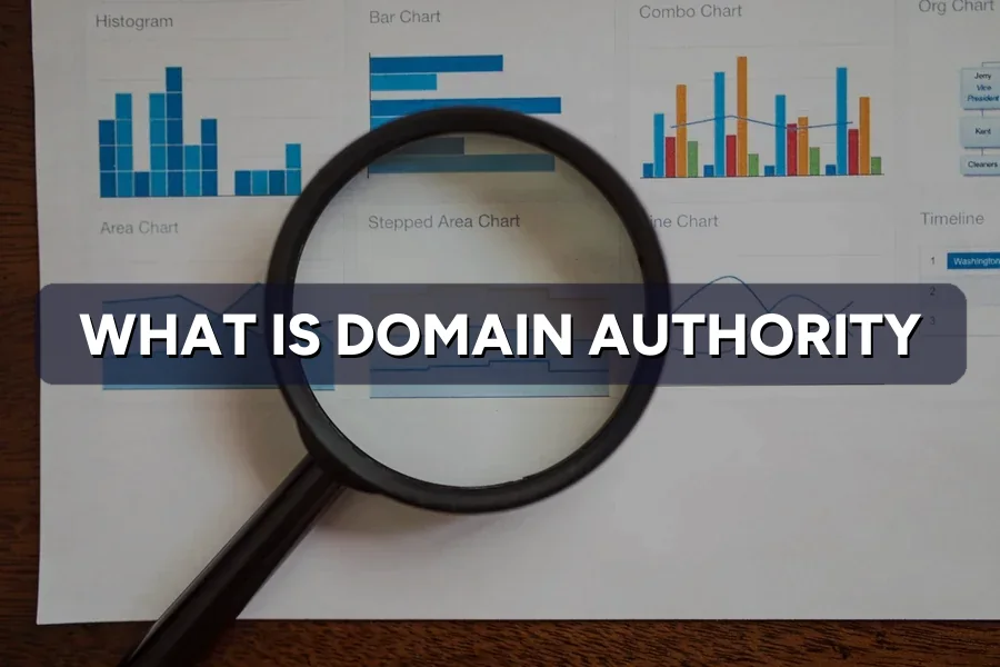 What Is Domain Authority? How to Read & Improve the Score