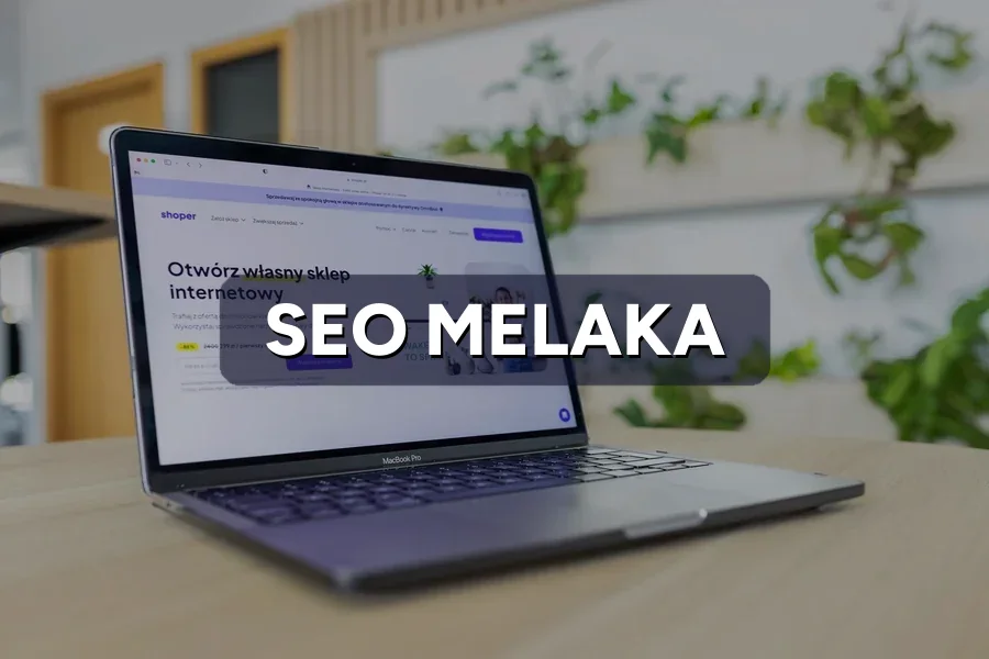 SEO Melaka: Rank Your Local Business Higher in 2026