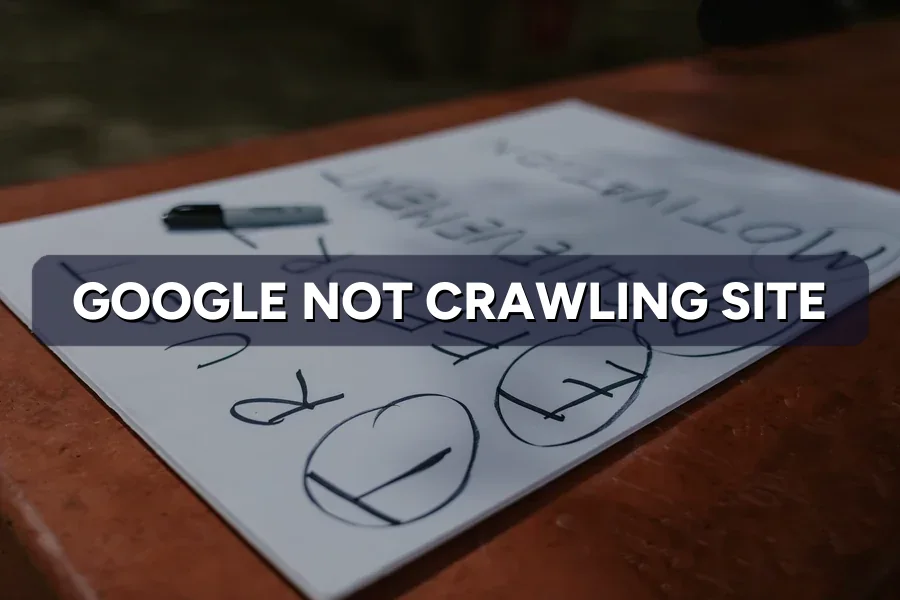 Google Not Crawling Your Site? How to Get It Crawled