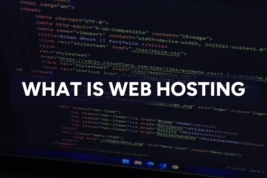 What Is Web Hosting? A Plain Guide for Business Owners