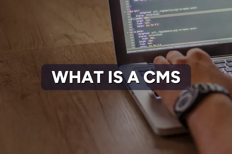 What Is a CMS? WordPress & Beyond, Explained Simply