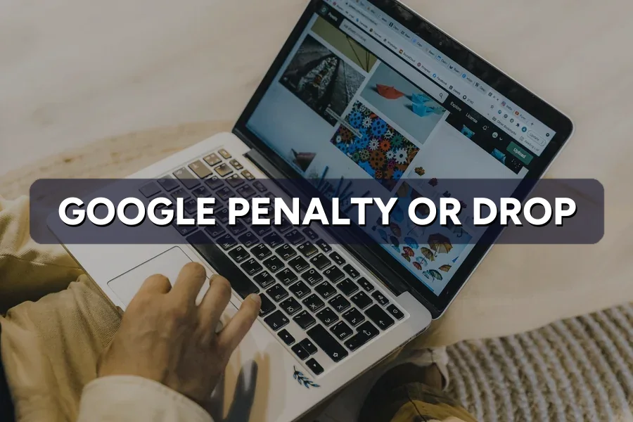 Google Penalty or Just a Drop? How to Tell the Difference