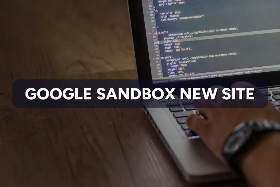 Google Sandbox Delaying Your New Site? What to Expect