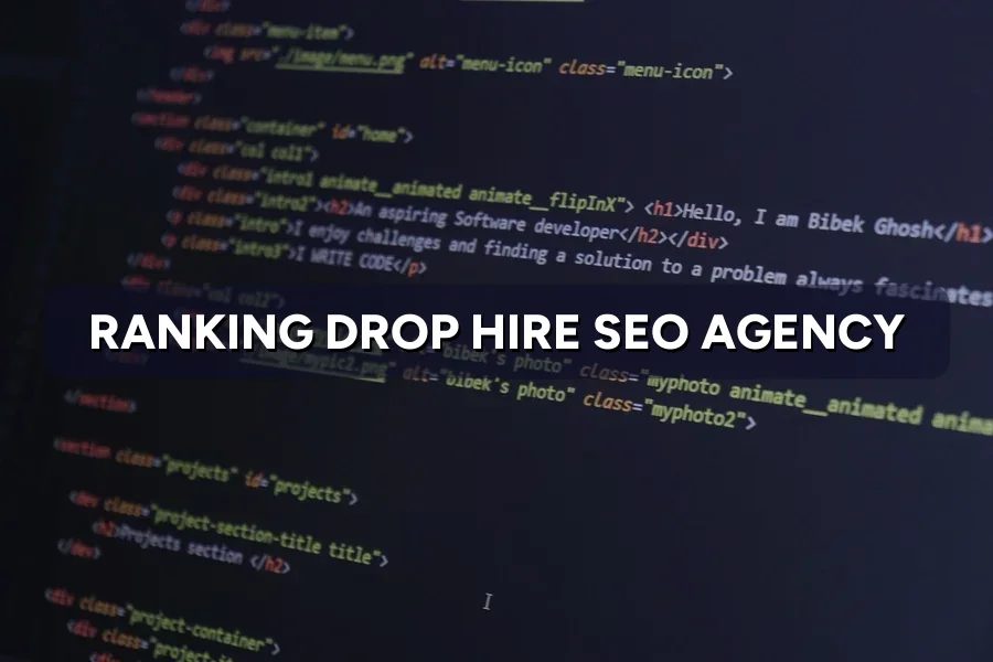 Ranking Drop Too Big to Fix Alone? Get an SEO Agency