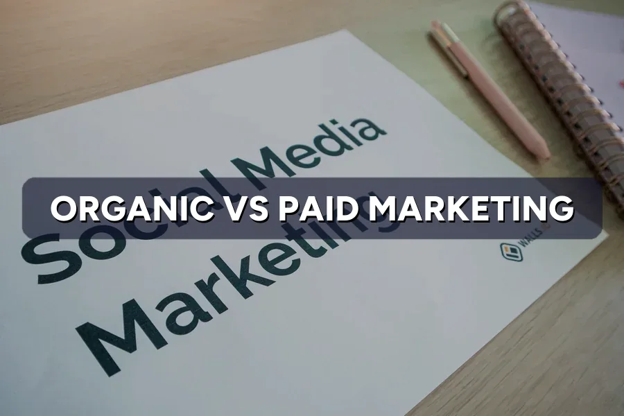 Organic vs Paid Marketing: Which Is Right for You?