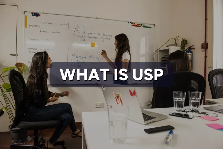 What Is a Unique Selling Proposition (USP)? Explained