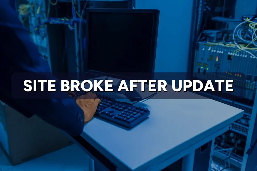 Site Broke After a Plugin Update? How to Recover It