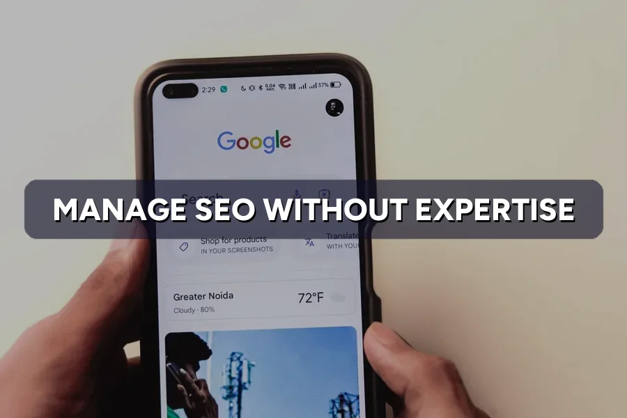 How to Manage Your SEO Without Becoming an SEO Expert