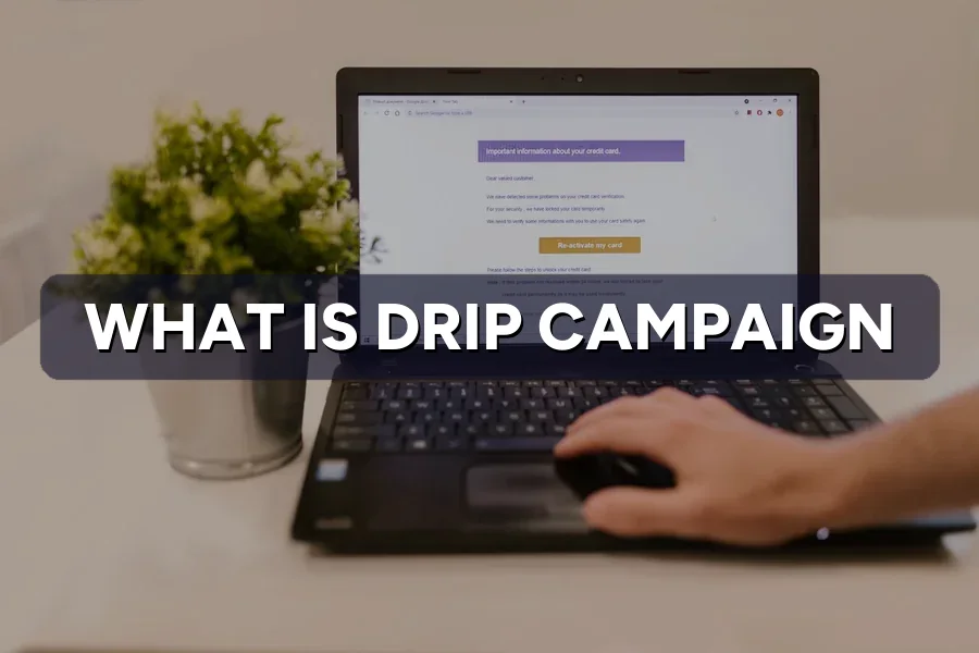 What Is a Drip Campaign? Automated Email Marketing 101