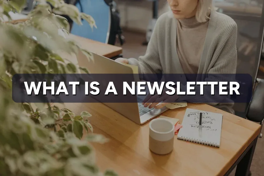 What Is a Newsletter? Should Your Business Send One