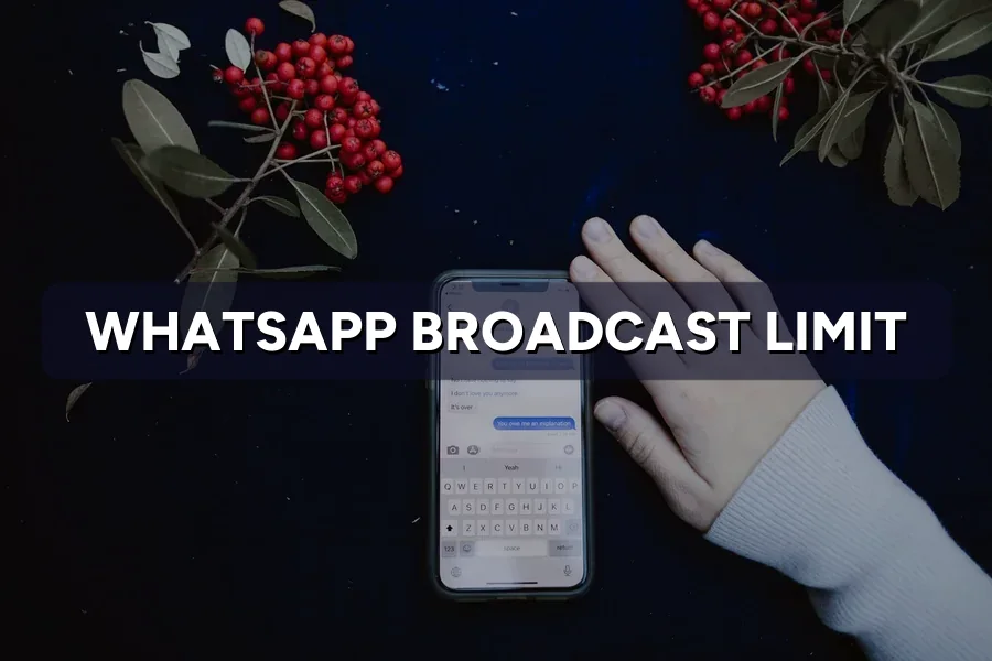 Hit a WhatsApp Broadcast Limit? How to Message Safely