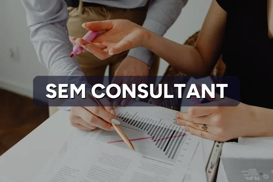 SEM Consultant vs SEM Agency: Which Fits Your Business?