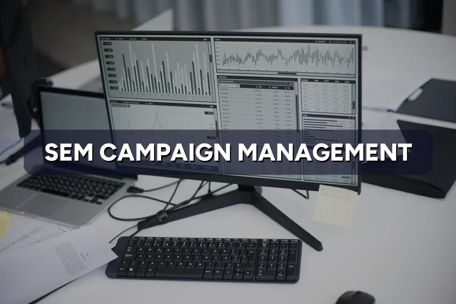 SEM Campaign Management: What Happens Week by Week