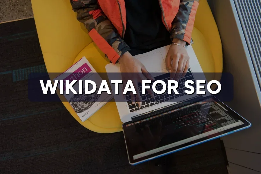 Wikidata for SEO: Does It Really Lift AI Visibility?