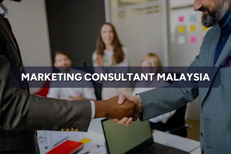 Marketing Consultant Malaysia: What They Do & Charge