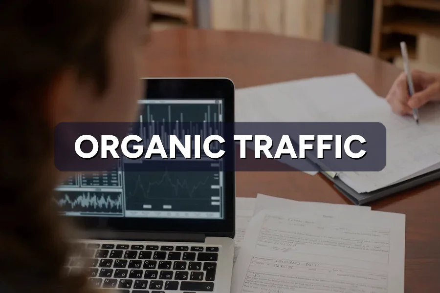 Organic Traffic: How to Grow It Without Paying for Ads
