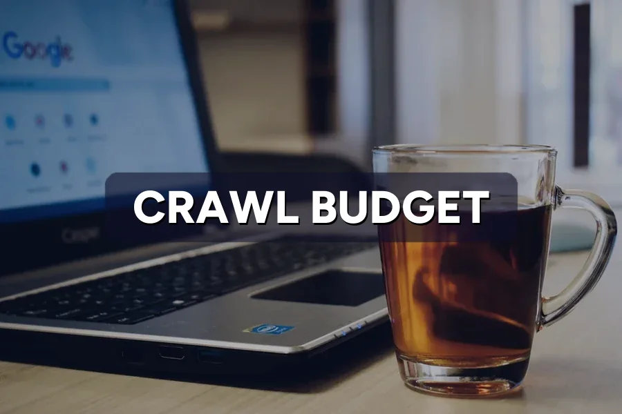 Crawl Budget: Why Google Ignores Some of Your Pages