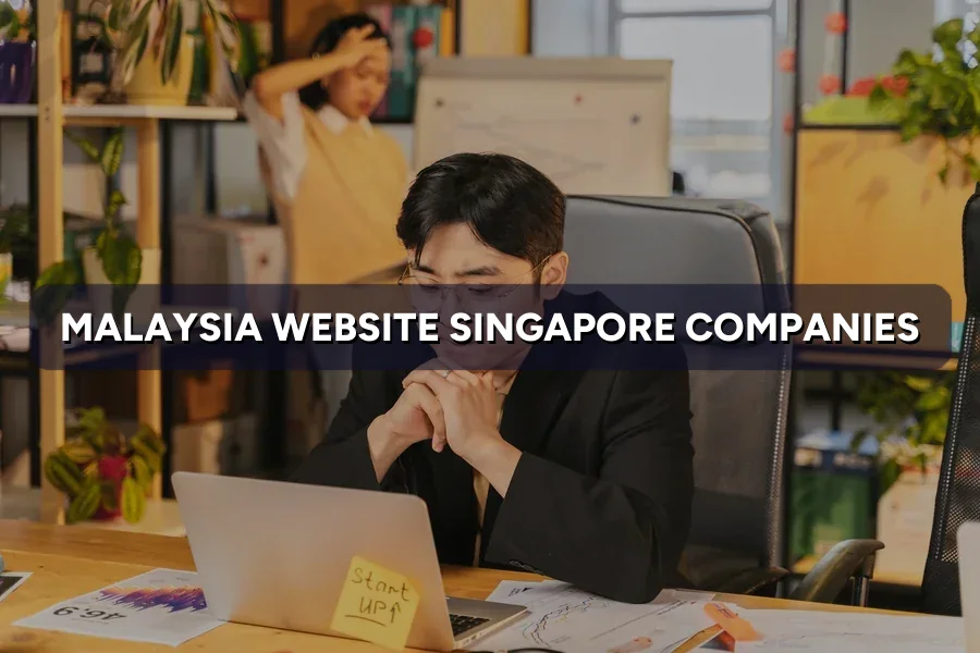 Malaysia Website for Singapore Companies: .my, BM & Hosting