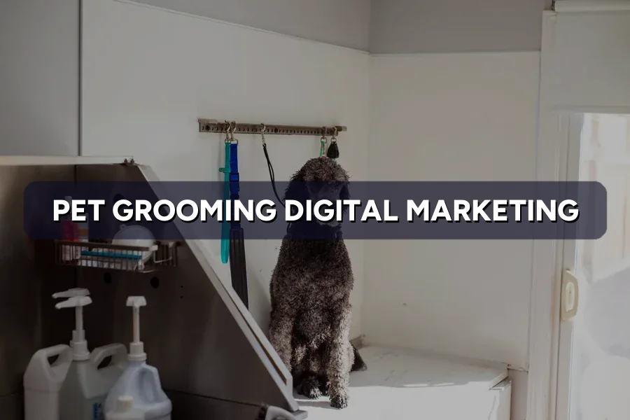 Best Digital Marketing for Pet Groomers Malaysia Guide 2026