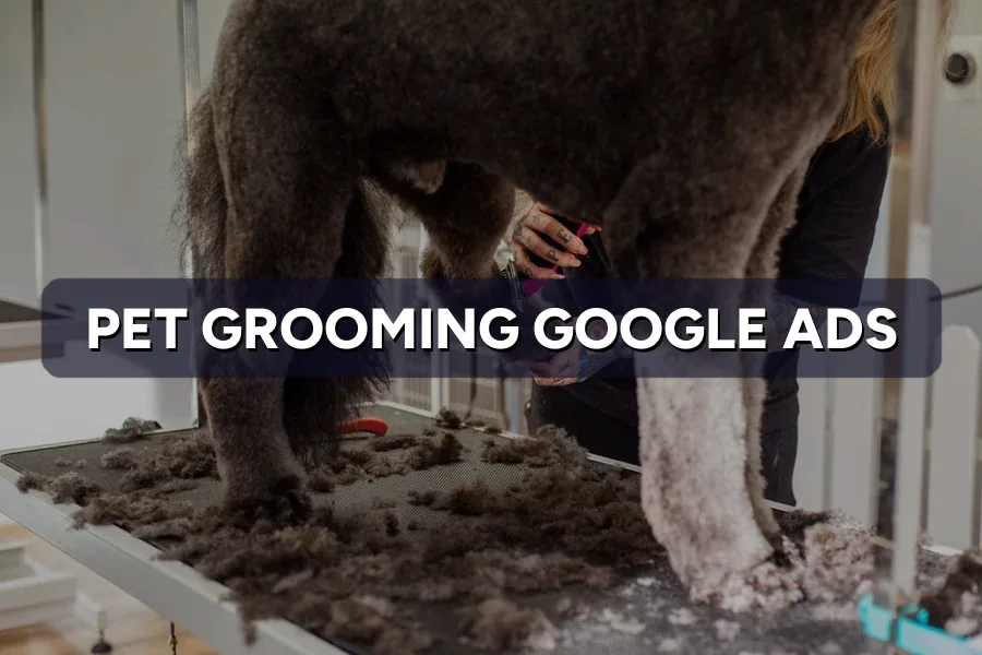 Best Google Ads for Pet Groomers in Malaysia: Guide 2026