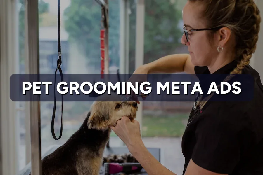 Best Meta Ads for Pet Groomers in Malaysia: Guide 2026