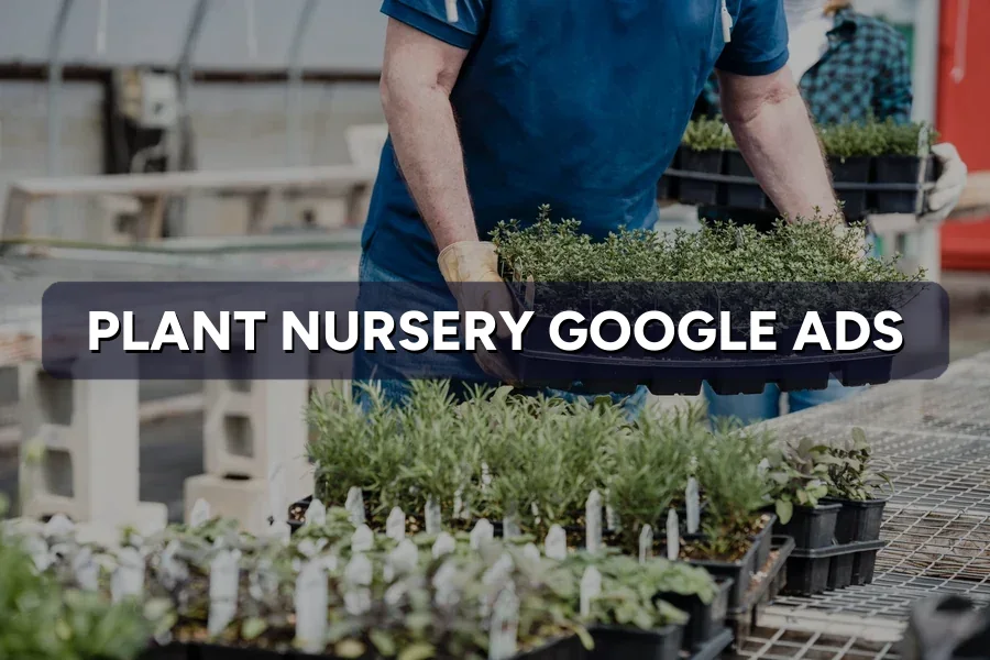 Best Google Ads for Garden Centres in Malaysia: Guide 2026