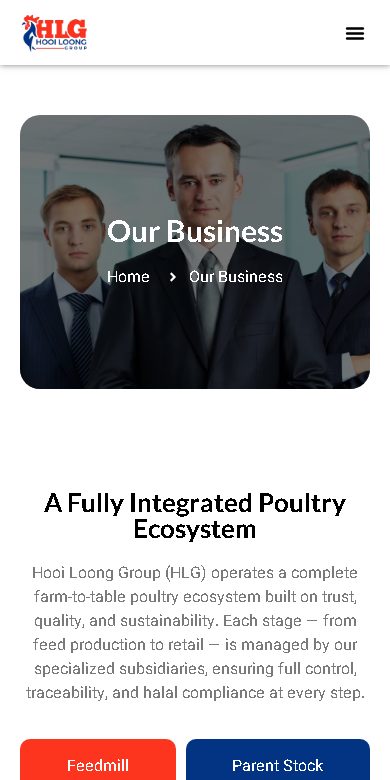 Digital Marketing Agency | ZenWeb Malaysia Hooi Loong Group website on a phone