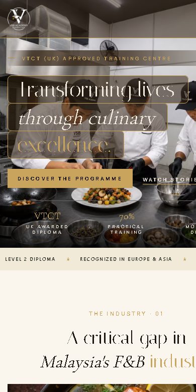 VSB Academy website on a phone