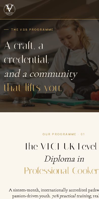 VSB Academy website on a phone