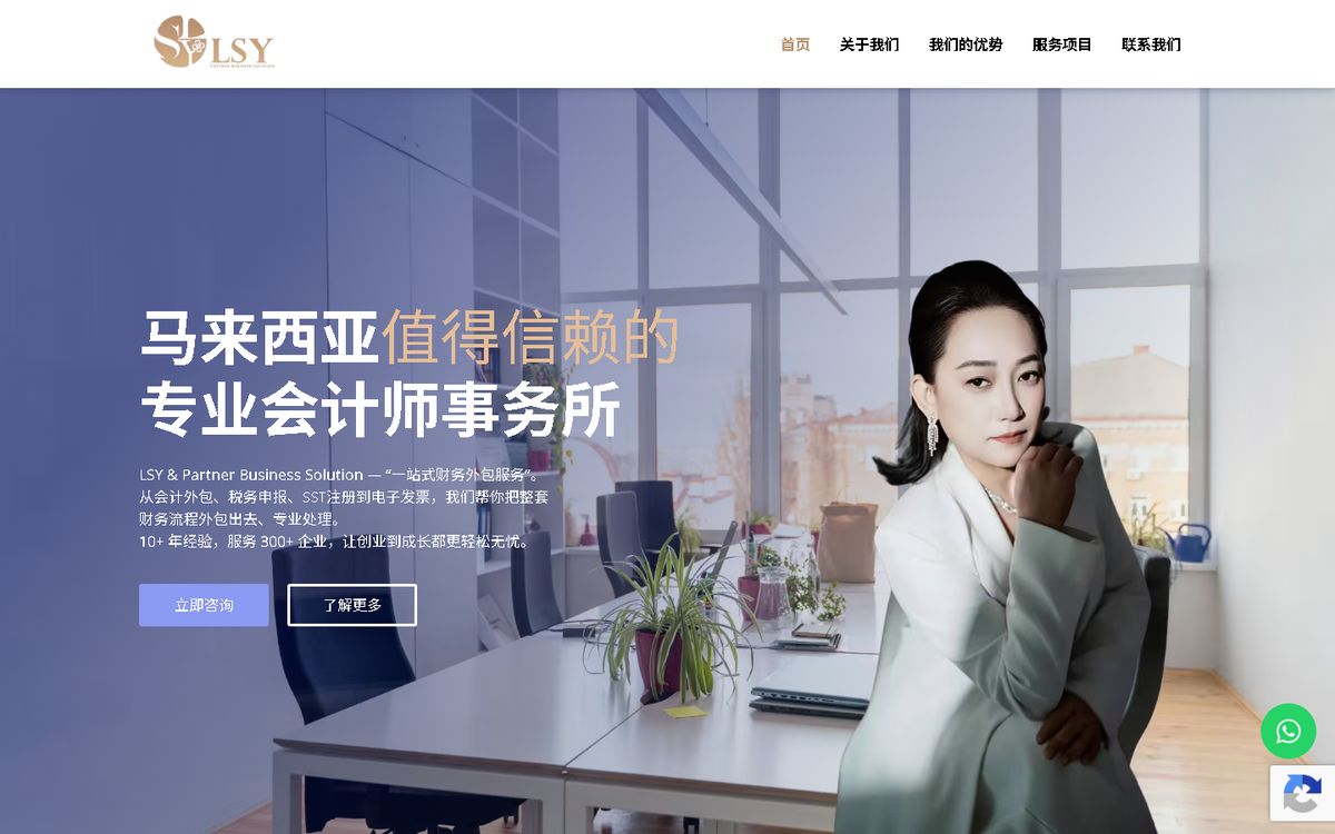 Digital Marketing Agency | ZenWeb Malaysia Home page of the LSY & Partner Business Solution website