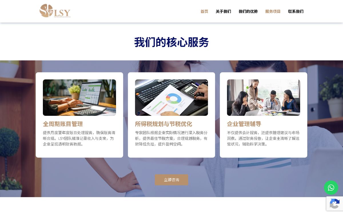 Digital Marketing Agency | ZenWeb Malaysia Services of the LSY & Partner Business Solution website