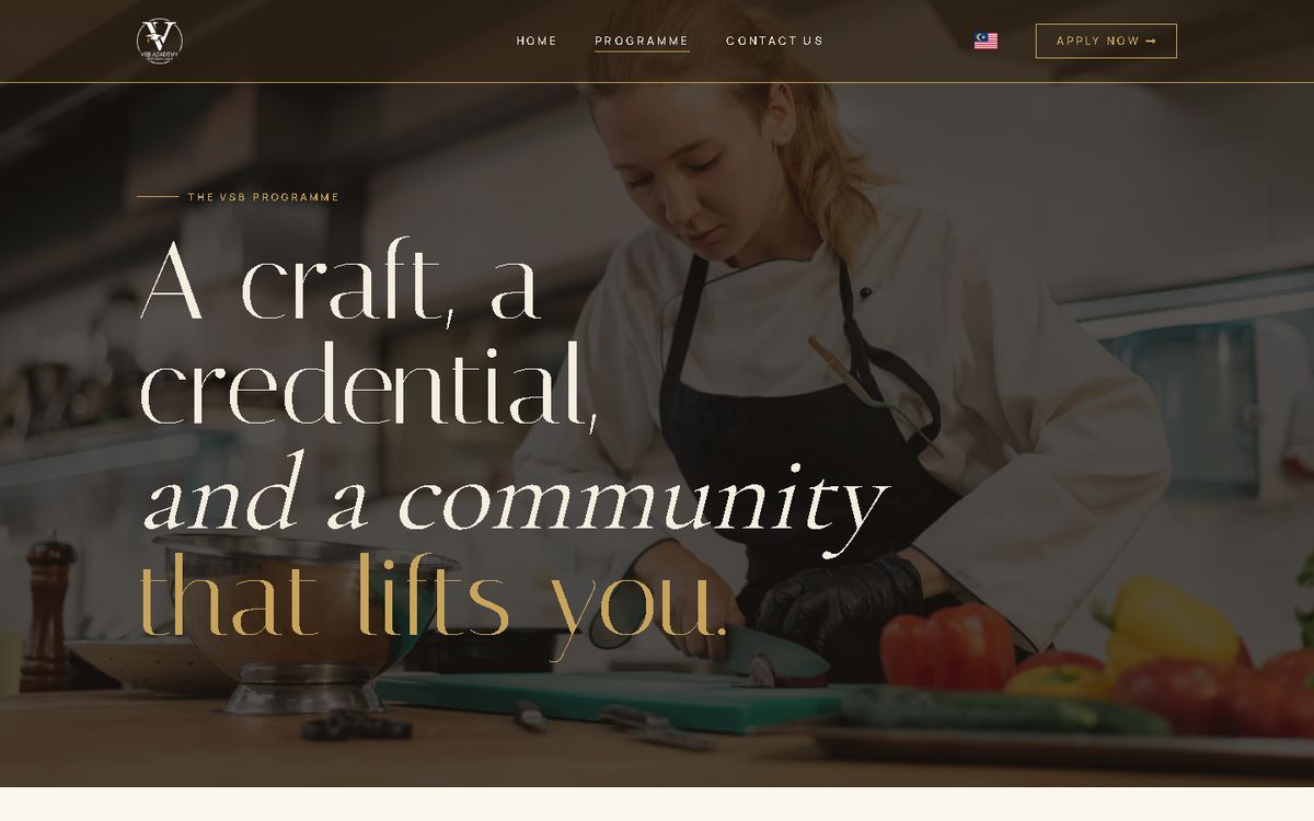 Programme of the VSB Academy website